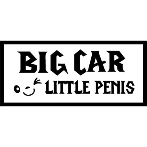 14.6X6.5CM BIG CAR LITTLE PENIS Funny Vinyl Decal Sticker Car Window Car-styling S8-0570