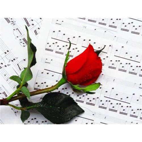 Flower Rose Cross Stitch Embroidery Kits Craft Needlework Set Printed Canvas Cotton Thread Home Decoration Hot Sell New Design