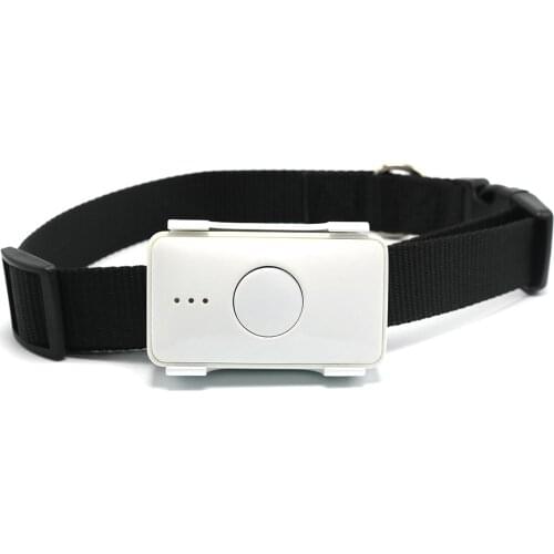 Real-time Health Monitoring 4G LTE GPS Pet Tracker LK105B-4G GPS Tracking with Free APP and Platform Tracking Device