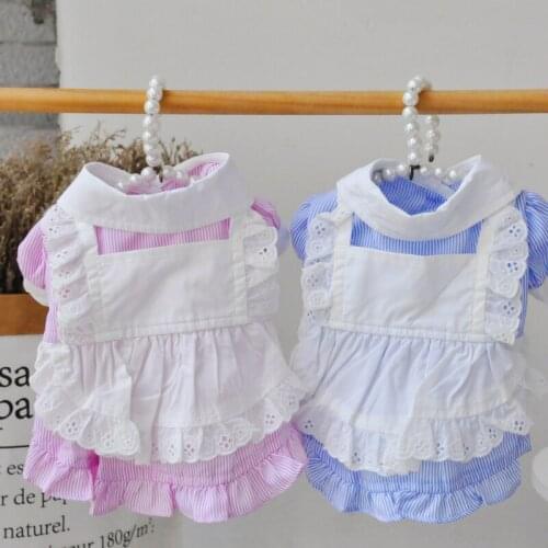 Puppy Dog Shirt Cat Clothing Summer Dog Clothes Yorkshire Chihuahua Pomeranian Poodle Schnauzer Maltese Dog Costume Dropshipping