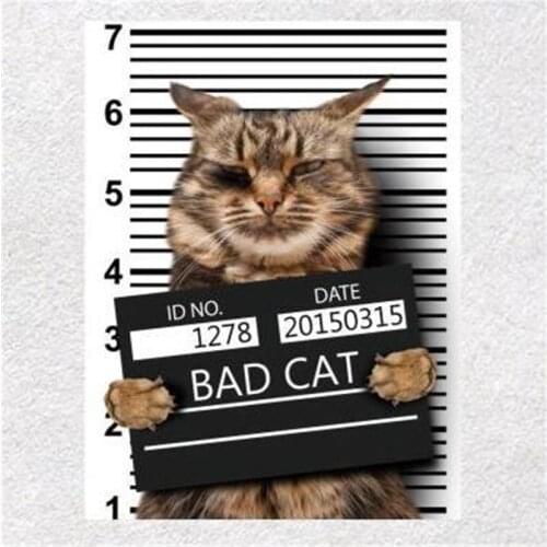 Fashion clothes printed patch deal with it wanted BAD CAT pattern Heat transfer printing Iron on patches for clothing Diy design