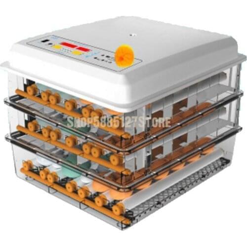 Incubator Small Home Automatic Chicken Breeding Machine Children Mini Water Bed Incubator Incubator