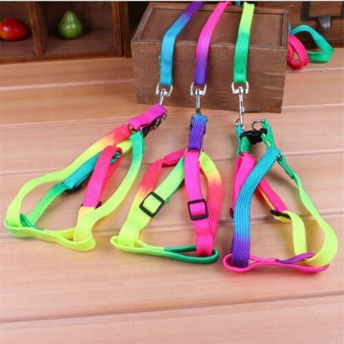 120cm Nylon Pet Dog Collar Harness Leash Colorful Rainbow Soft Walking Harness Lead Durable Safely Traction Rope