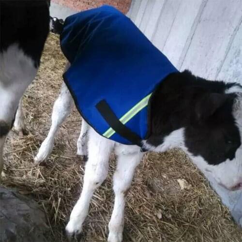 1pc Blue Color Calf Warm Clothes Thicked and Waterproof Warst Coat For Cattle Dog Horse Medium Large Pet in Spring Autumn Winter
