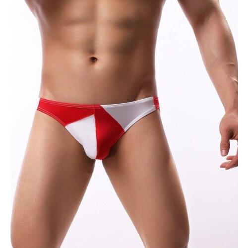 Men Briefs Ice Silk Underwear Seamless Penis Pouch Panties Sexy Breathable Underpants Bikini Cueca Calzoncillos Hombre Shorts