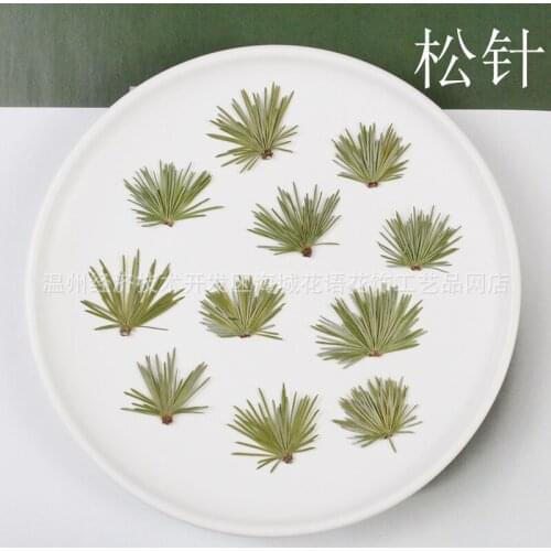 Pine Needle Plant Specimen Frame Resin Epoxy Aromatherapy DIY Manual Craft Painting Activity Material Pack