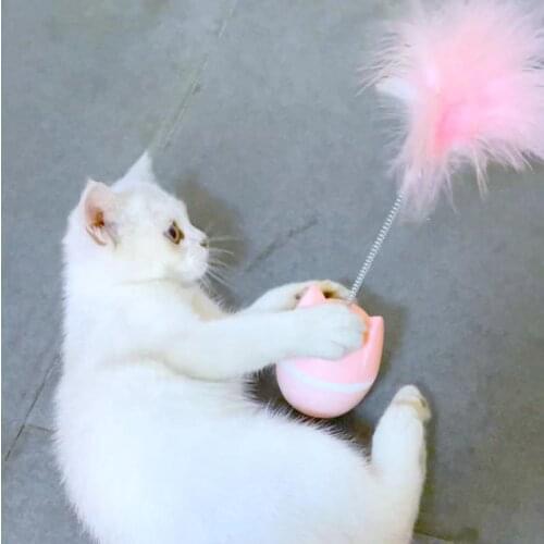 Pet Cat Dog Toy Funny Tumbler Leaking Food Feather Ball Playthings Training Pet Cat Interactive Toys Cats Supplies Accessories