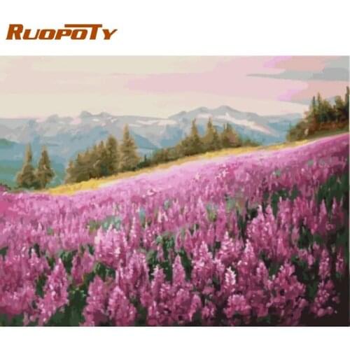 RUOPOTY DIY Oil Painting By Numbers For Adults HandPainted Unique Gift Pink Landscape Picture 60x75cm Framed Home Decor Artcraft