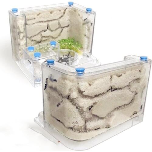 Ant nest acrylic kingdom ant ecological box oversized castle large