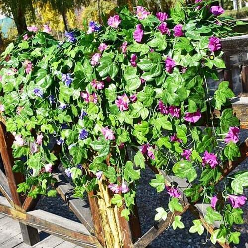 Artificial Dried Flowers Simulation Flower Glory Rattan Petunia Vine Wall Hanging Orchid Home Living Room Decoration