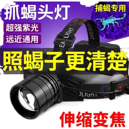 Scorpion light headlight zoom capture bright violet light head mounted Scorpions dedicated long life charge