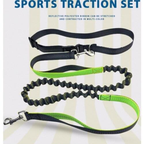 Elastic Pet Dog Leash Walking Lead Bungee Retractable Leash