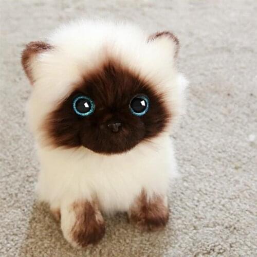 20/26CM Simulation Siamese Cat Plush Toy Blue Sequins Eyes Dolls Brown And White Face Ragdoll Cats Home Decor Cute Gift For Baby