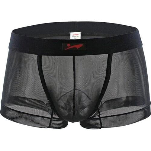Men Underwear Men Boxer Mesh U Pouch Sexy Underpants Cueca Mesh Nylon Pants Trunks Boxer Shorts Gay Male Panties Hot