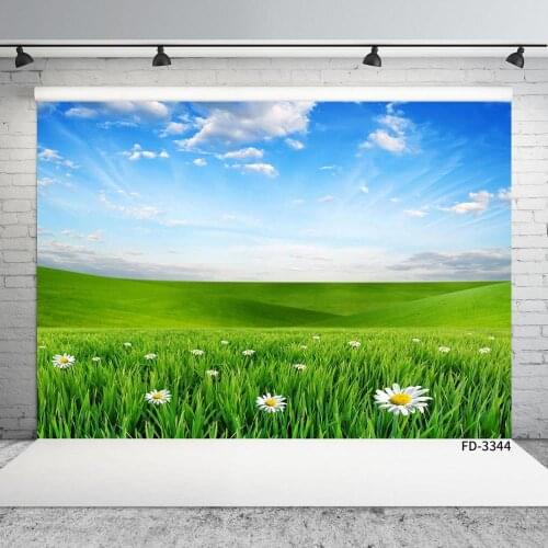 Green Grass Spring Grassland Flower Backdrops Baby Portrait Outdoor Natural Scenic Photography Background Photocall Photo Studio