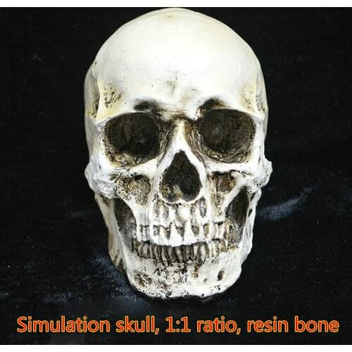 Halloween Resin Artware Skull Shaped Figurine Ornament Decorative Statue for Home Shops Party Holiday Scary Horror Decorations