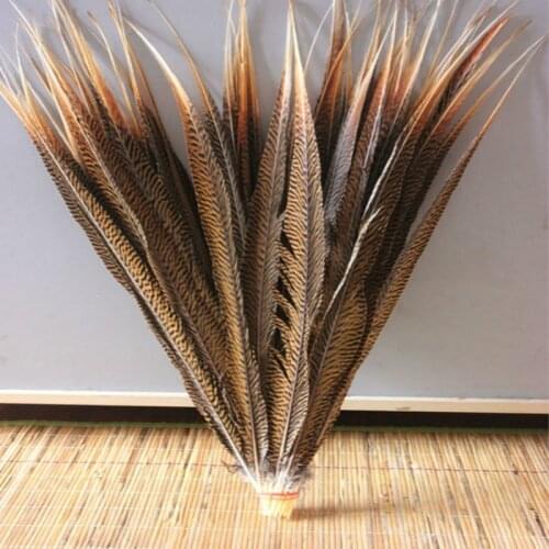 10 PCS natural decorative golden pheasant tail feathers 20-22 inches / 50 to 55 cm feather decoration wholesale