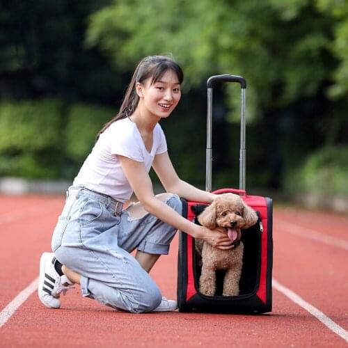 New Pet Luggage Pet Trolley Case Oxford Cloth Two-Color Cat And Dog Backpack Multifunctional Outdoor Travel Outing Cat Bag