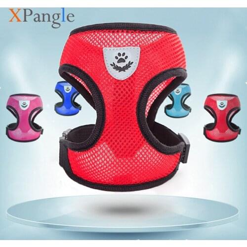 XPangle Dinnerware Sets