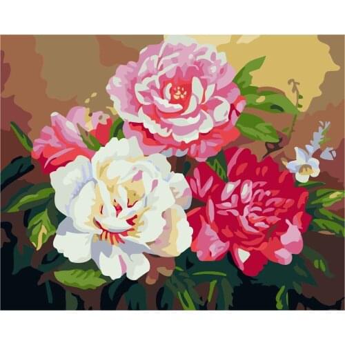 Cioioil-C428 peony flowers Painting By Numbers Canvas Painitng Home Wall Art Picture Coloring By Numbers