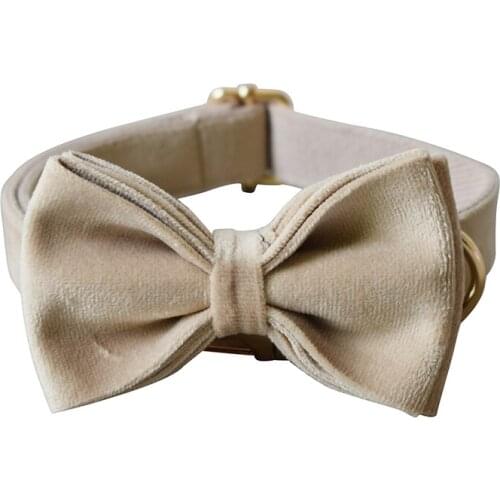 Flannelette 09g Free Engrave Fabric Dog Collar Leash Set For Medium Big Pet Necklace With Bow Tie Khaki Velvet Name Necklace