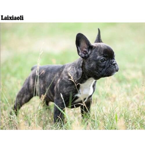 French bulldog Diamond Embroidery cute puppy full drill square round Rhinestones 5d diy Diamond Painting kit Pictures mosaic