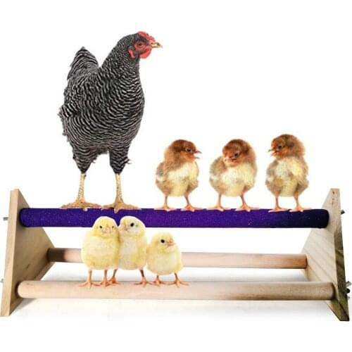 Large Parrot Stand Pet Chicken Scrub Large Stand Rack Big Cock Hen Explosion Models