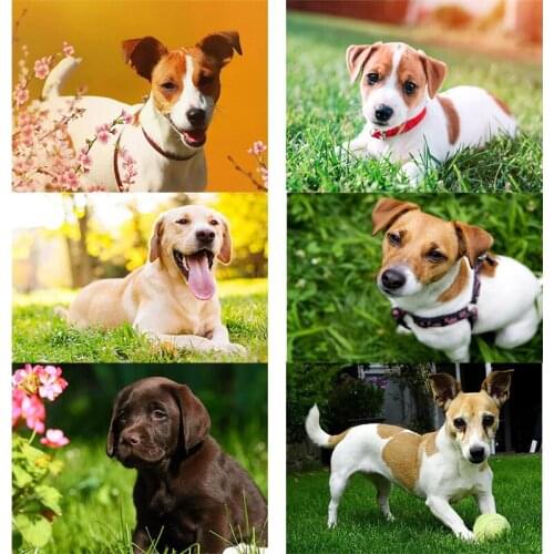 Jack russell terrier Diamond Painting Dog animal pet cute puppy diamond Embroidery Full Square round resin Drill diy Christmas