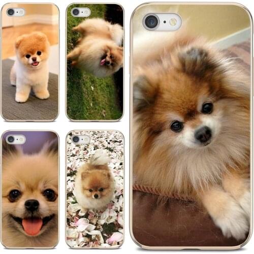 Six Siege LG Phone Cases