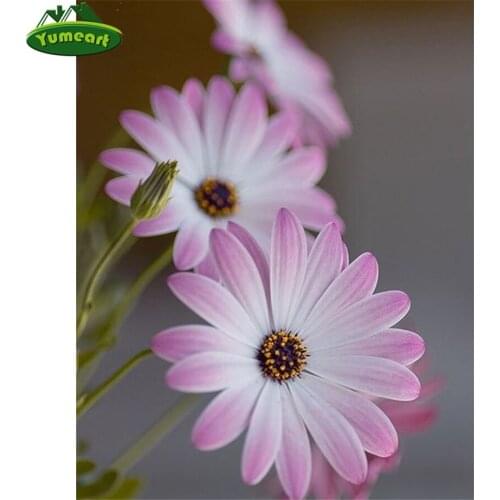 Diamond Embroidery Daisy Diamond Mosaic 5D DIY Rhinestones Small daisy Picture Diamond Painting Cross Stitch Sale Needle Gifts