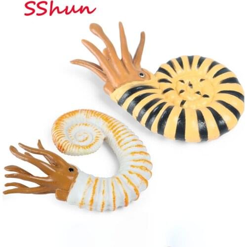 2pc/Set Children Cognitive Simulation Marine Animal Model Toys Ancient Creatures Nautilus Conch Snail Doll Decoration