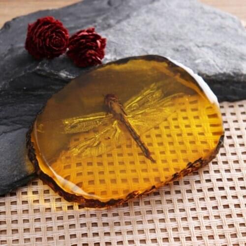 Collection Chinese Beautiful Amber Dragonfly Fossil Insects Manual Polishing Exquisite Gift