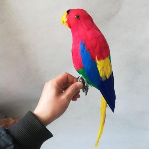 Real life toy bird hard model large 45cm colourful red feathers parrot bird garden decoration prop decoration toy gift h1886