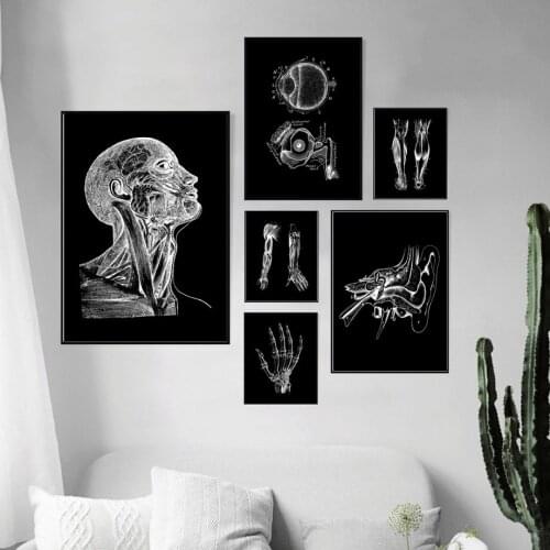 Nordic Posters And Prints Anatomy Skeletal Muscle Metacarpal Eye Wall Art Canvas Painting Wall Pictures For Doctor Office Decor