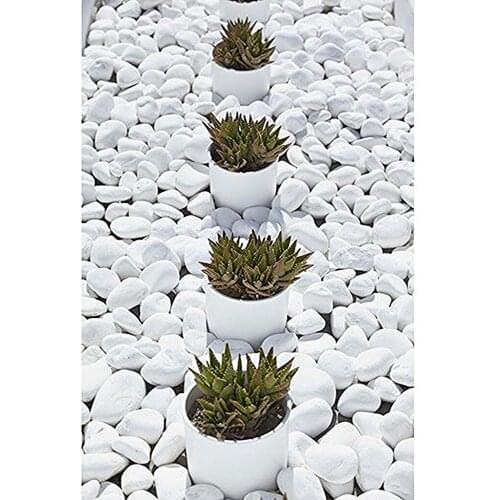 Dolomite Stone 1-2 cm 1 Kg Landscape Stone, Aquarium Stone, Pebble Stone Garden, Pot Stone Stream Stone Decorative