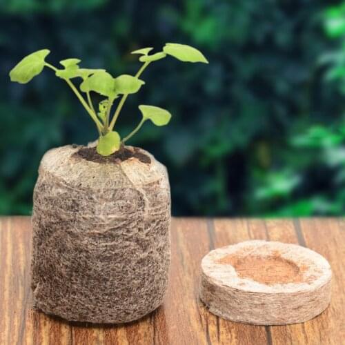 Newly 100Pcs Seed Starting Plugs Seedling Soil Block Seed Soil Plugs Starters