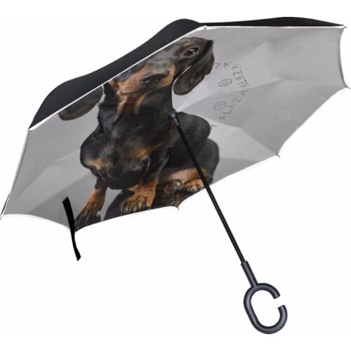 Adorable Short Haired Dachshund Dog Reverse Umbrella Windproof Sun Rain Umbrella Double Layer Umbrella Parasol for Men Women