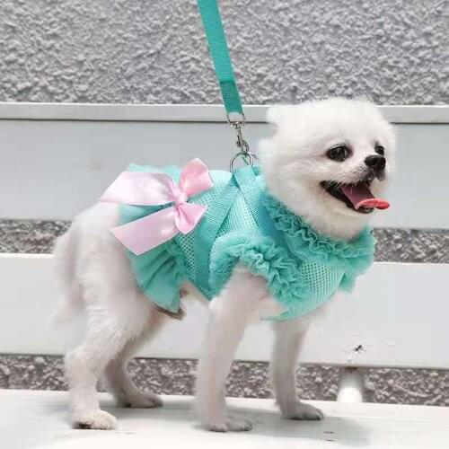 Small Puppy Dog Cat Clothes Harness Leash Breathable skirts Pet Harness Vest Dress For Small Medium Dogs Cats Chihuahua teddy