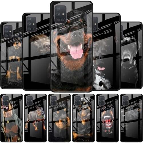 Tempered Glass Phone Case for Samsung Galaxy A51 A71 A21s A31 A41 A30 A50 A70 A81 A91 A01 M31 M21 M51 Cover Rottweiler Shark Dog