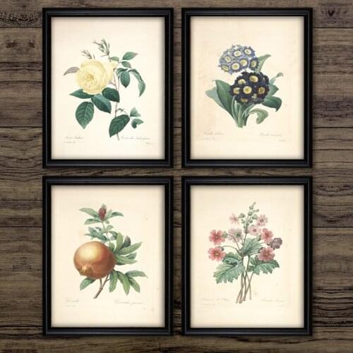Vintage Flowers Plants Fruit Posters Prints Botanical Wall Art Canvas Painting Educational Wall Pictures Reproduction Home Decor