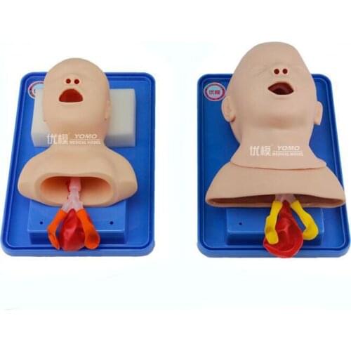 Neonatal cardiopulmonary resuscitation model infant/new born baby emergency care infarction simulator