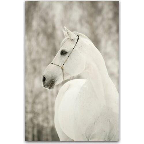 DONGMEI OILPAINTING oil painting Animal Art painting pictures High quality print DM17072406