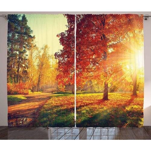 Fall Curtains Vibrant Misty Day in Forest Sun Rays Trees Foliage Fallen Leaves Calm View Living Room Bedroom Window Drapes