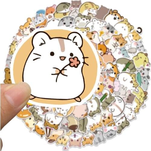 Скейтборды SHIZHUO China At AliExpress