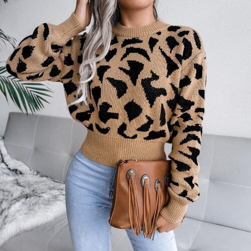 Autumn Winter Basic O-neck Leopard Slim Knitting Sweater Women Warm Sweaters 2021 Womens Pullovers Solid Minimalist Cheap Tops