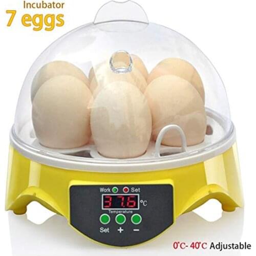 7 Eggs Incubator Machine 110V/220V Fully Automatic Digital Egg Incubator Adjustable Temperature Mini Egg Incubator for Chickens