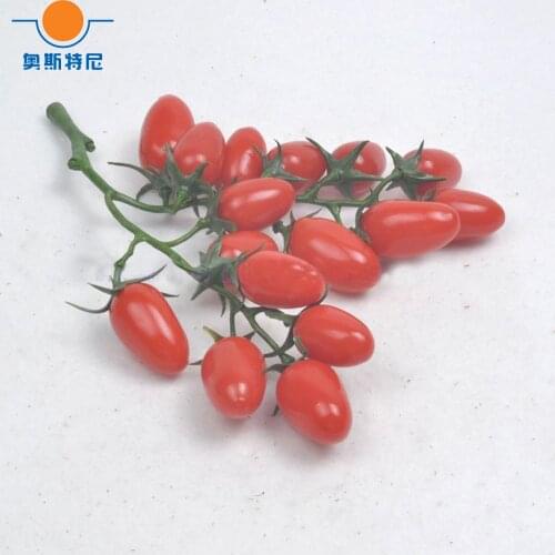 1 bunch red 18cm long fake artificial cherry tomato&artificial cherry tomato bunch fake simulated cherry tomato fruit model