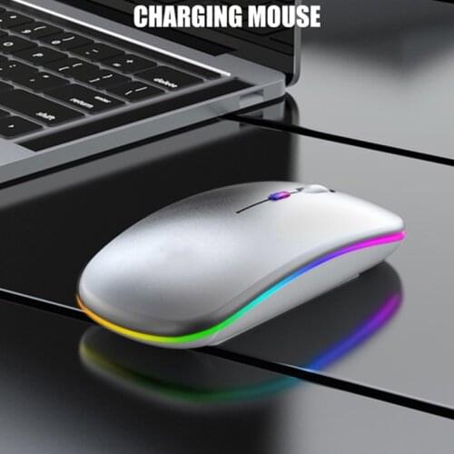Erilles Computer Mice