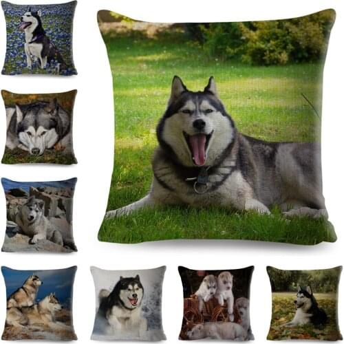 Cute Pet Dog Animal Pillow Case Decor Siberian Husky Cushion Cover for Sofa Home Chidren Room Polyester Pillowcase 45*45cm