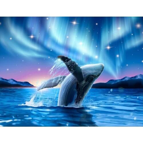 JMINE Div 5D Whales northern lights Full Diamond Painting cross stitch kits art High Quality Animal 3D paint by diamonds